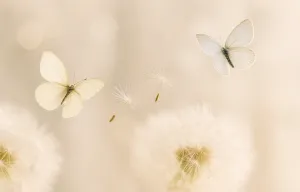 Сенсорний детокс: коли мозок знову чує тишу